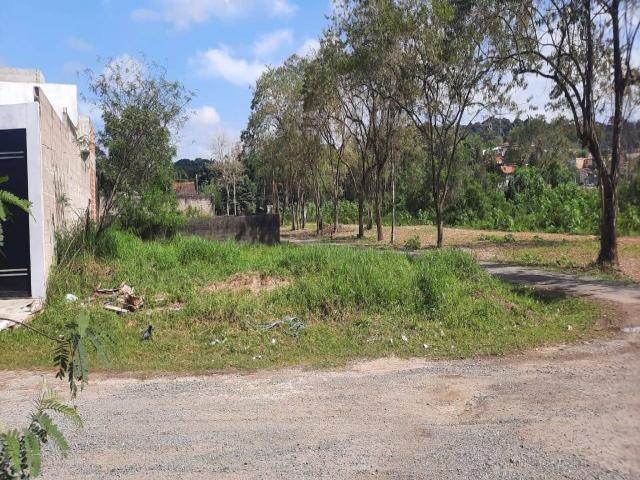 #6 - Terreno para Venda em Registro - SP - 3