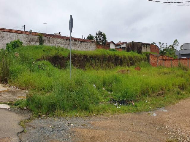 #11 - Área para Venda em Registro - SP - 1