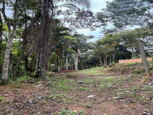 Área para Venda em Registro - 4