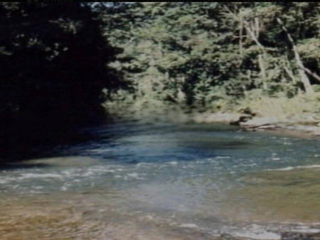 #21 - Fazenda para Venda em Registro - SP - 1