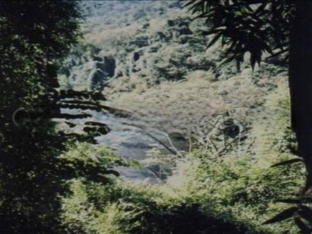 #21 - Fazenda para Venda em Registro - SP - 3